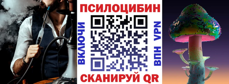 где можно купить наркотик  Петровск-Забайкальский  Псилоцибиновые грибы мицелий 